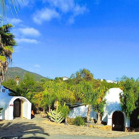 Vila Hacienda Eco-Domes Valle de Guadalupe Exteriér fotografie