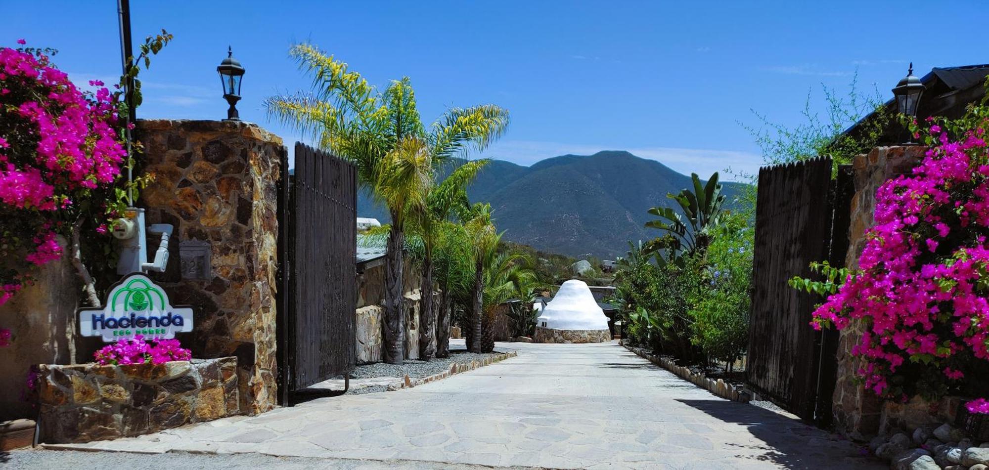 Vila Hacienda Eco-Domes Valle de Guadalupe Exteriér fotografie